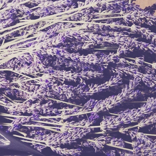 Lavender Spritz